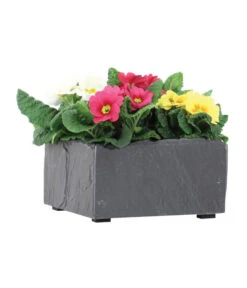 Climaqua Schiefer-Pflanzschale Bol, Rechteckig, Ca. B19/H10/T19 Cm -Ecopots Garten Geschaft 6876858 WE FS 004 ClimaquaSchieferPflanzschaleBolrechteckig