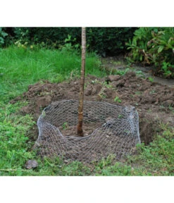 Wühlmauskorb -Ecopots Garten Geschaft 6920136 WE MO 003 Wuehlmauskorb