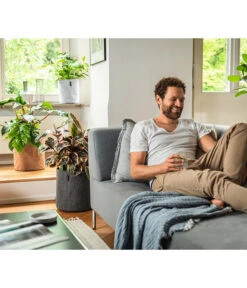 LECHUZA® TRENDCOVER Cork, All-in-One Set 8 LECHUZA® TRENDCOVER Cork, All-in-One Set -Ecopots Garten Geschaft 6946891 6946933 6947097 6947139 WE MO 001 Trendcover