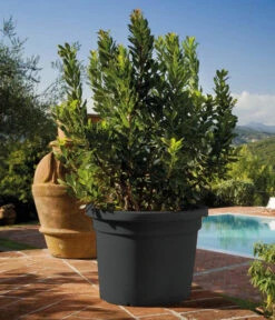 Farmet New Kunststoff-Topf, Konisch, Inkl. Untersetzer 8 Farmet New Kunststoff-Topf, Konisch, Inkl. Untersetzer -Ecopots Garten Geschaft 6965511 WE MO 001 FarmetNewKunststoffTopfZylindrischrund