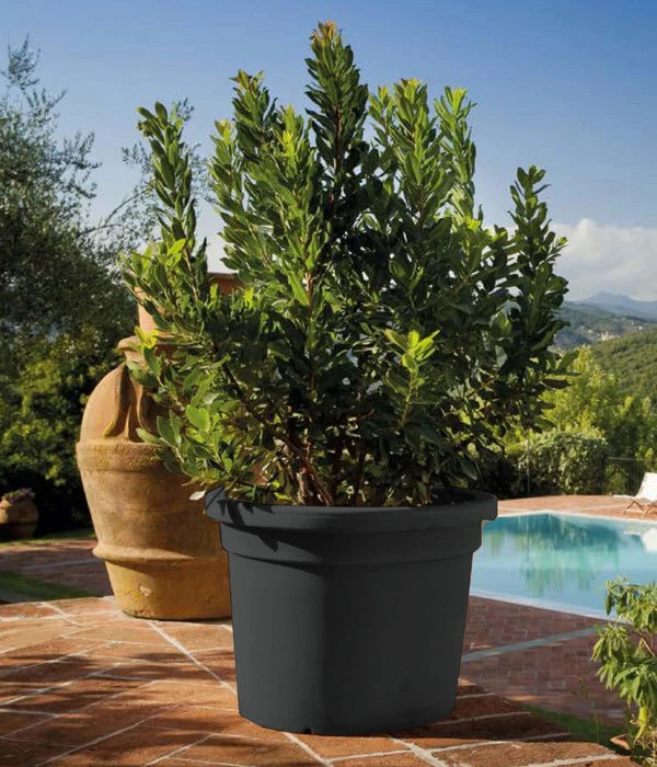 Farmet New Kunststoff-Topf, Konisch, Inkl. Untersetzer 5 Farmet New Kunststoff-Topf, Konisch, Inkl. Untersetzer – Bild 3