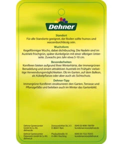 Korea-Tanne 'Molli' -Ecopots Garten Geschaft 7001936 KoreatanneMolli Etikett 2