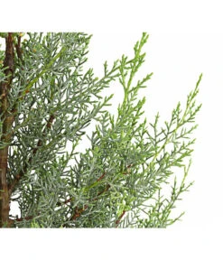 Arizona-Säulen-Zypresse 'Glauca' 5 Arizona-Säulen-Zypresse 'Glauca' -Ecopots Garten Geschaft 7156060 WE DE 001 CupressusZypresseArizonaFast10LDehnerExpressHerzig