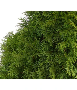 3 Meter Lebensbaum 'Smaragd', 6 X Ca. 150-175 Cm 11 3 Meter Lebensbaum 'Smaragd', 6 X Ca. 150-175 Cm -Ecopots Garten Geschaft 7513534 WE DE 001 ThujaLebensbaumOccidentalisSmaragd20LDehnerExpressHerzig