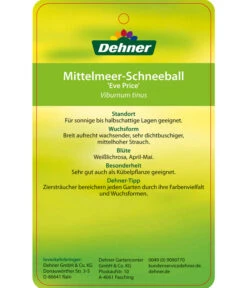 Mittelmeer-Schneeball, Stämmchen 7 Mittelmeer-Schneeball, Stämmchen -Ecopots Garten Geschaft 7539406 Mittelmeer SchneeballEvePrice Etikett 2