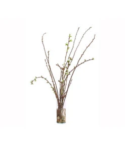 Kirschzweige-Bund, Ca. 80-100 Cm -Ecopots Garten Geschaft 8149049 WE FS 002 KirschzweigeBundDehnerExpressHerzig