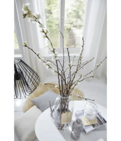 Kirschzweige-Bund, Ca. 80-100 Cm -Ecopots Garten Geschaft 8149049 PR MO 001 KirschzweigeFotoshootingUveSauerFebruar2016