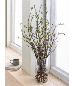 Kirschzweige-Bund, Ca. 80-100 Cm -Ecopots Garten Geschaft 8149049 WE MO 001 KirschzweigeHandbund