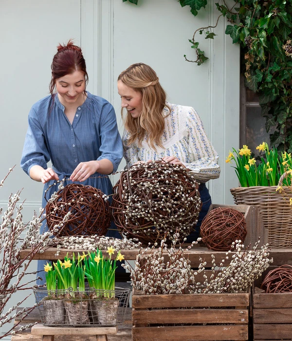 Narzissen 'Tête à Tête' In Birkentopf, Ca. Ø11 Cm 6 Narzissen 'Tête à Tête' In Birkentopf, Ca. Ø11 Cm – Bild 4