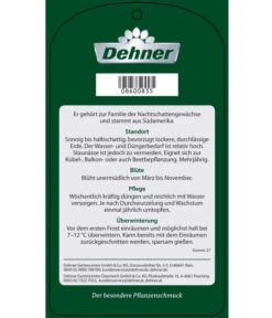 Blauer Enzianstrauch -Ecopots Garten Geschaft 8600835 BlauerEnzianstrauch Etikett 2