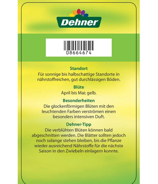 Kaiserkrone 7 Kaiserkrone – Bild 5