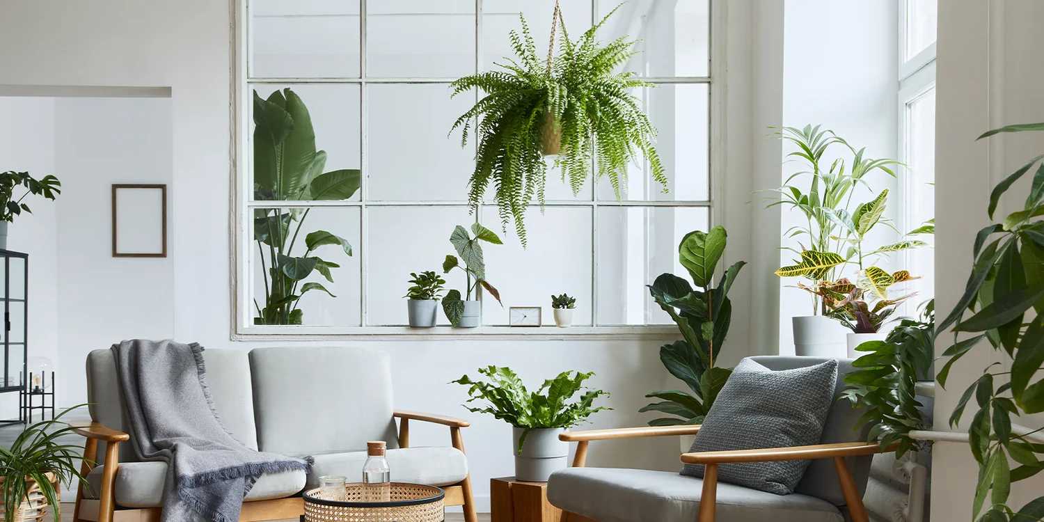 Ecopots Garten Geschaft -Ecopots Garten Geschaft HP2 Plantes interieur S27