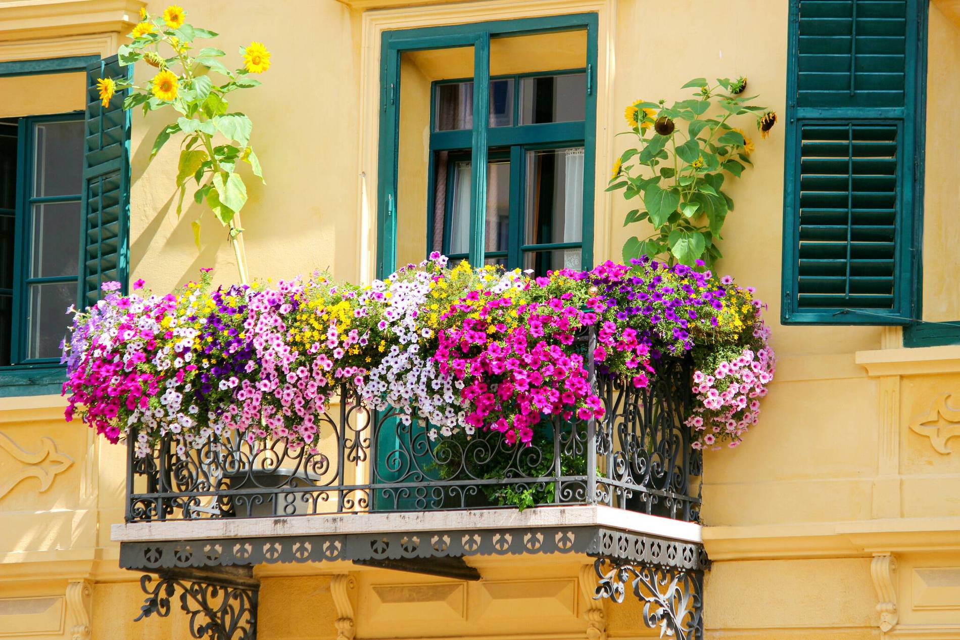 Ecopots Garten Geschaft -Ecopots Garten Geschaft w1900 h1266 x1796 y1197 iStock 482728892 27c233ab5ef1e5d7