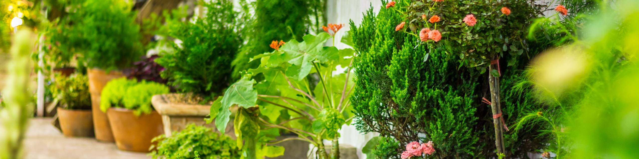 Ecopots Garten Geschaft -Ecopots Garten Geschaft ziergarten as 217923543 7d988c33 f7a0f5a4@2560w